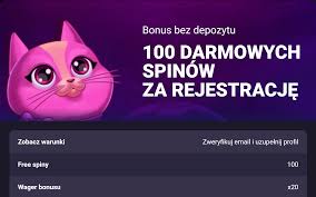 100 free spinów bez depozytu – najlepsze sloty Book of Dead, Sweet Bonanza, Gates of Olympus